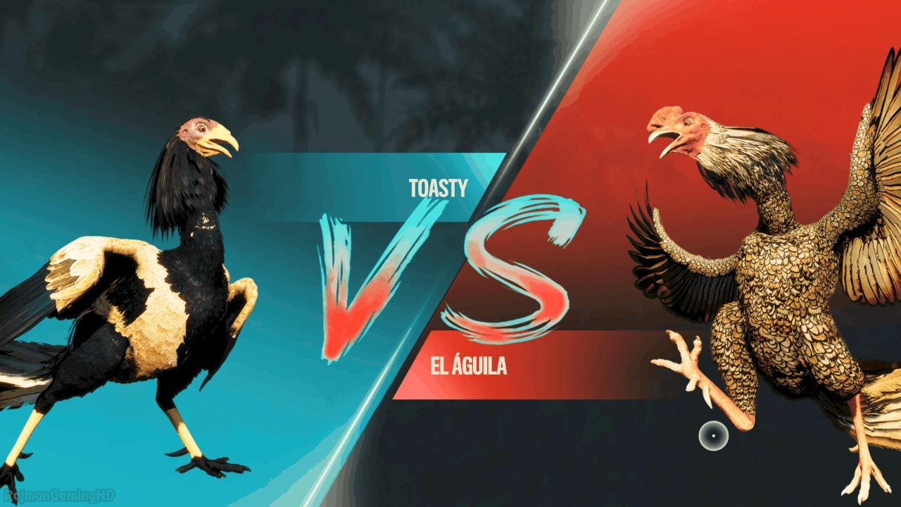 Đá gà không cần nạp tiền là lựa chọn lý tưởng để giải trí